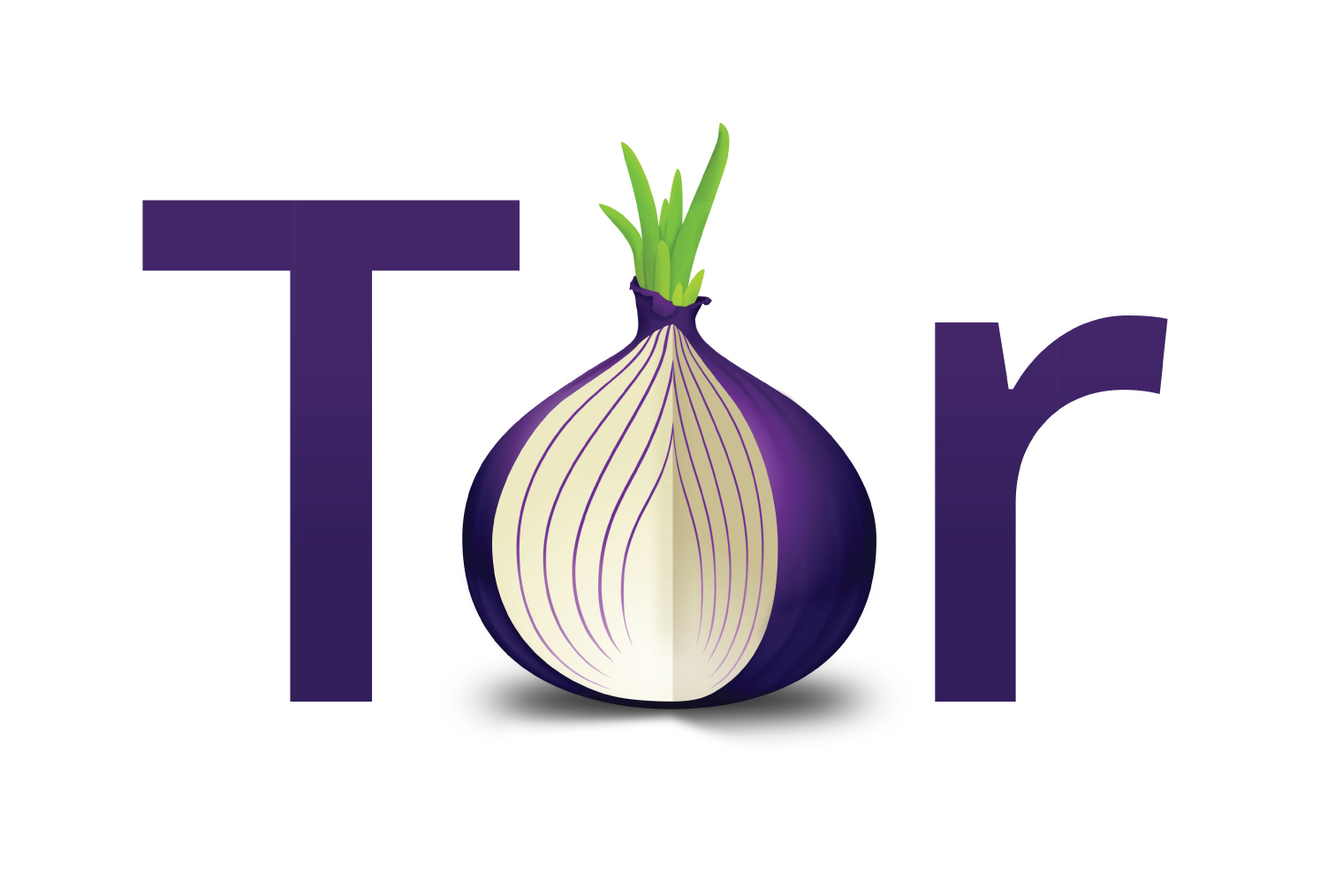 bitmessage with tor